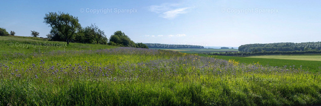 PAN_Outlook_Spring_Meadow6 | sparepix - Realisiert mit Pictrs.com