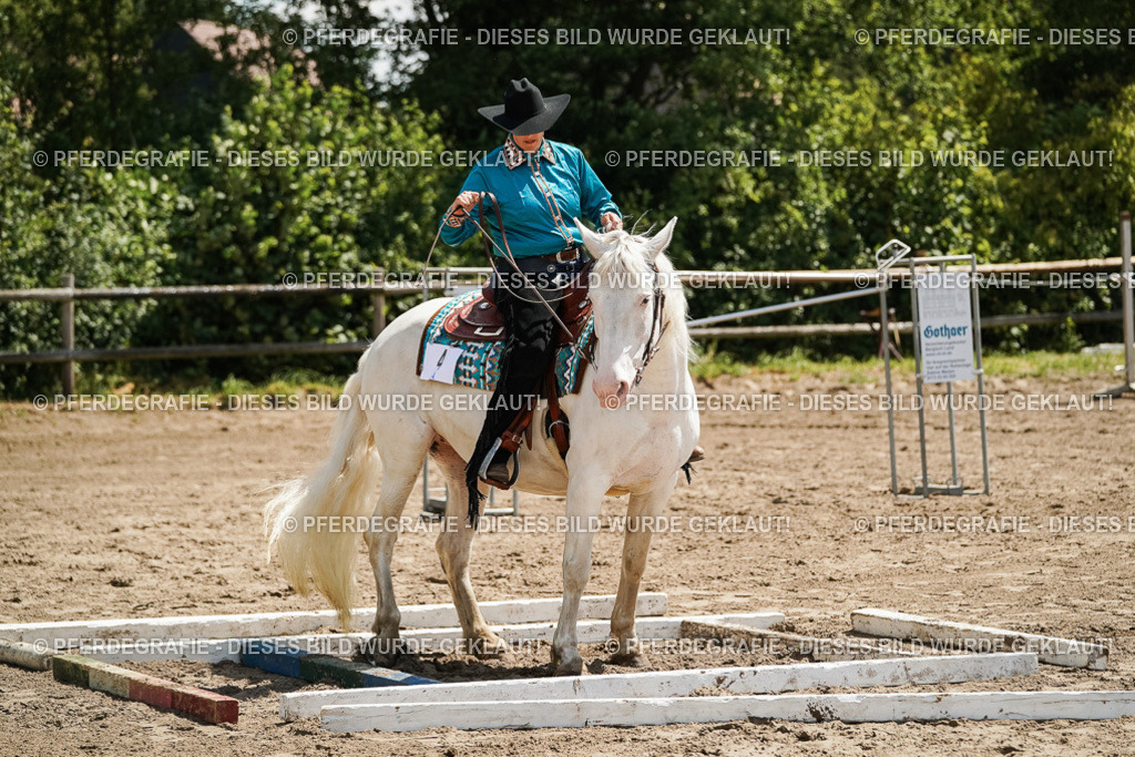 DSC07281 | Pferdegrafie