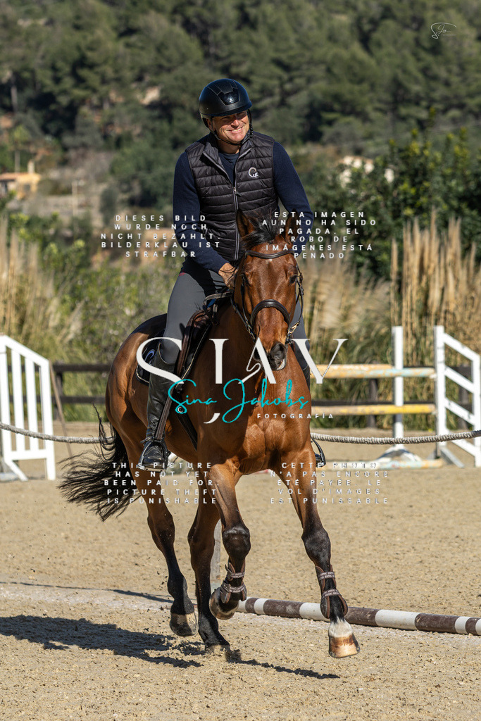 IMG_6973 | s-jay-photography - Realisiert mit Pictrs.com