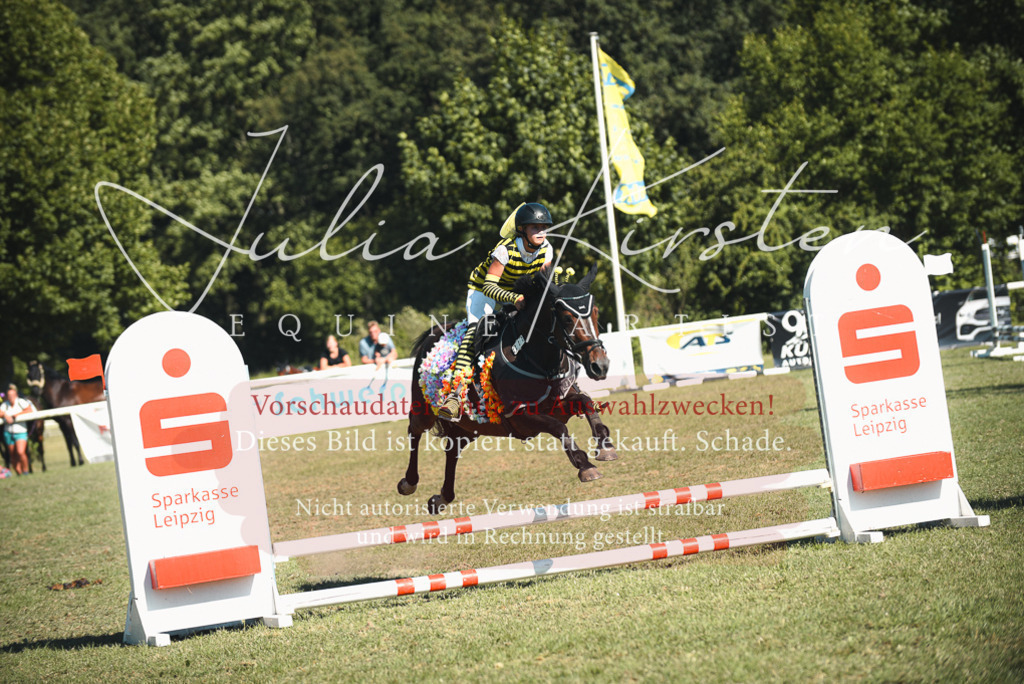 DSC_7680 | Pferde- und Turnierfotografie in Westsachsen. Pferdeportraits, Auftragszeichnungen und intuitive Kunst.
