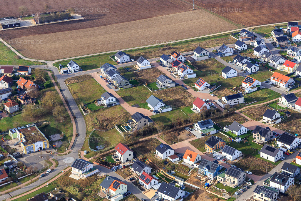 Luftbild: Holunderweg, Lavendelwg in Kandel im Bundesland Rheinland-Pfalz in Deutschland. Foto: IMG_145086.jpg vom 04.01.2025 durch Werner Riehm/FLY-FOTO.de