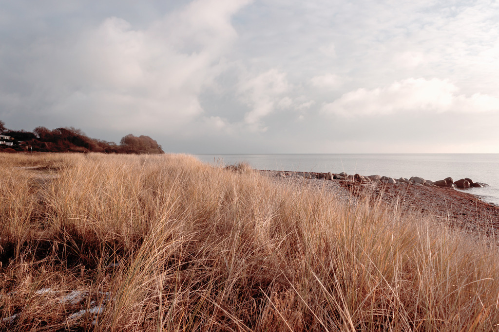 Wandbild: Strandhafer und Wolken | Dieses Wandbild im Querformat zeigt Strandhafer am Sandstrand in einem schönen ruhigen Beige. Im Hintergrund ist der bewölkte Himmel in verschiedenen Grautönen zu sehen. Sie möchten Ihre Wände dezent aber stilvoll und elegant dekorieren? Dann kaufen Sie sich dieses maritime Wandbild. Es ist auf Leinwand, Aluminium-Platte, Acrylglas oder als Holzdruck erhältlich. Die Wandbilder werden individuell für Sie in vielen Abmessungen produziert. Daher passen die Ostseekult Wandbilder immer perfekt an Ihre Wände. - Realisiert mit Pictrs.com