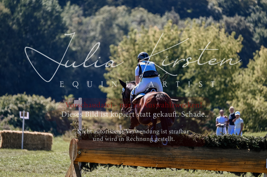 DSC_1533 | Pferde- und Turnierfotografie in Westsachsen. Pferdeportraits, Auftragszeichnungen und intuitive Kunst.