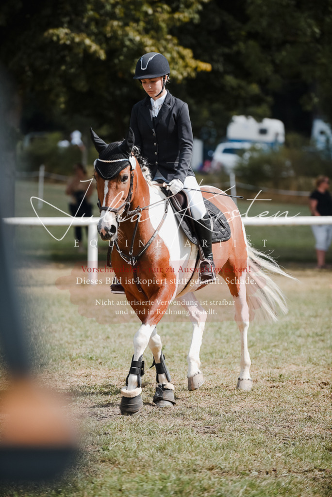 DSC_5440 | Pferde- und Turnierfotografie in Westsachsen. Pferdeportraits, Auftragszeichnungen und intuitive Kunst.