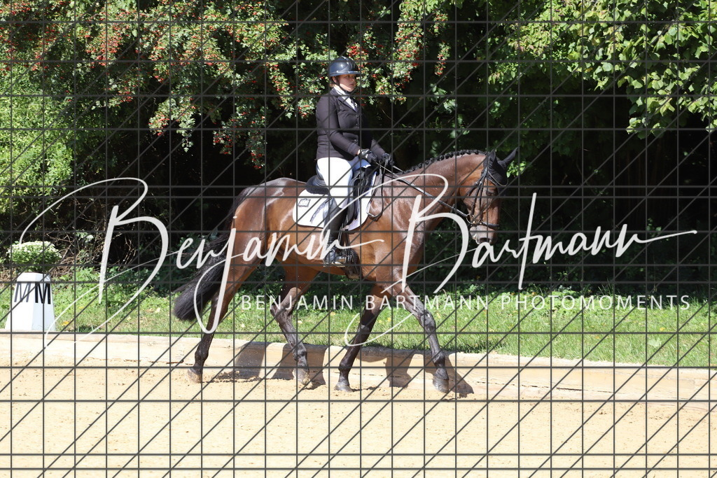 IMG_6012 | Benjamin Bartmann Photomoments