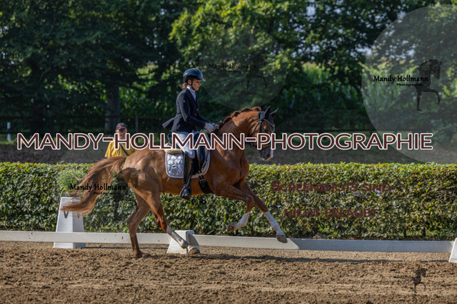 15.8.25 D1 RPF 3j (215 von 255) | mandyhollmannphotographie