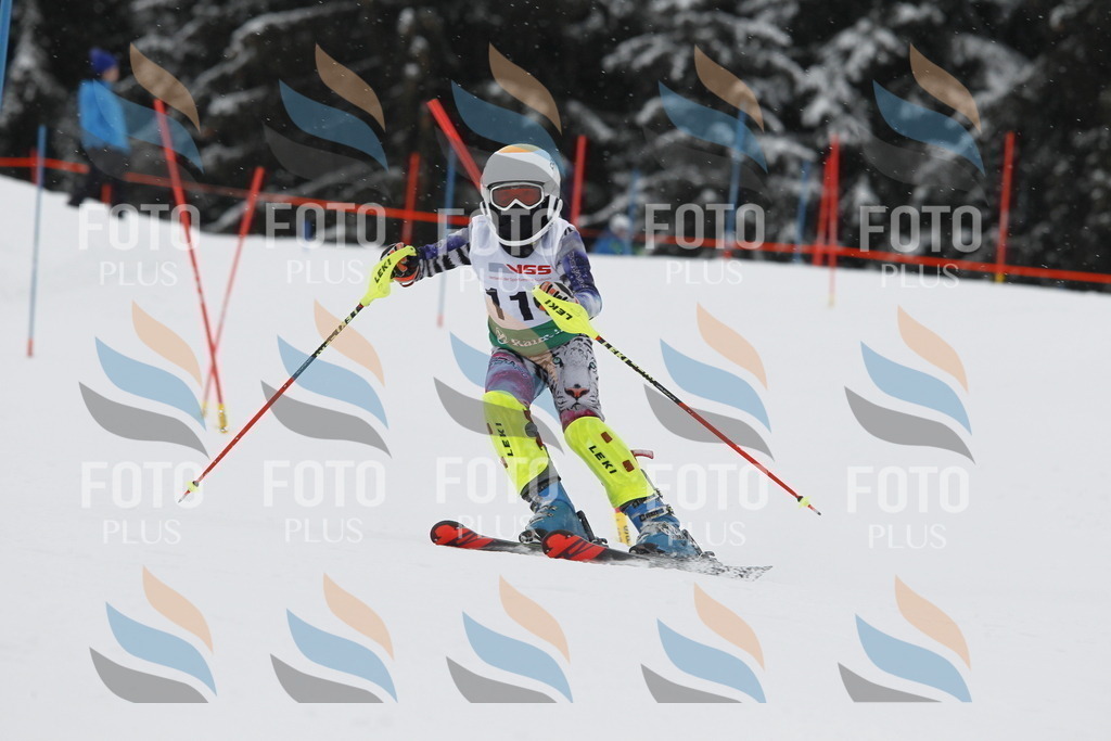 A1530 | holidayphoto