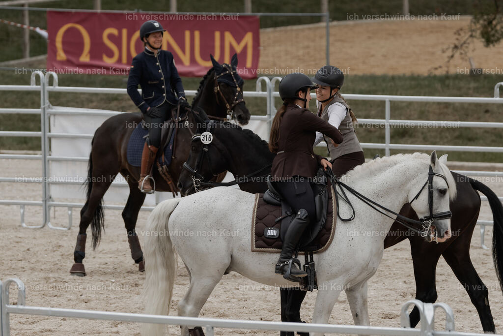 WE__Stoib_Rinder_PI2025_3194 | Pferd International München 2025