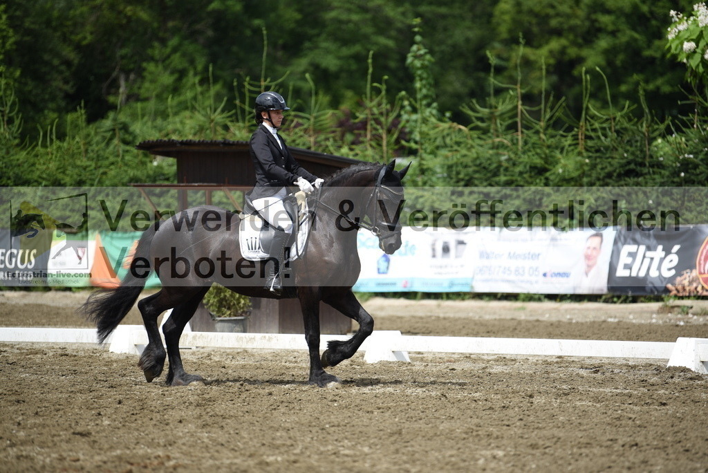 DSC_0763 | equestrian-live-com