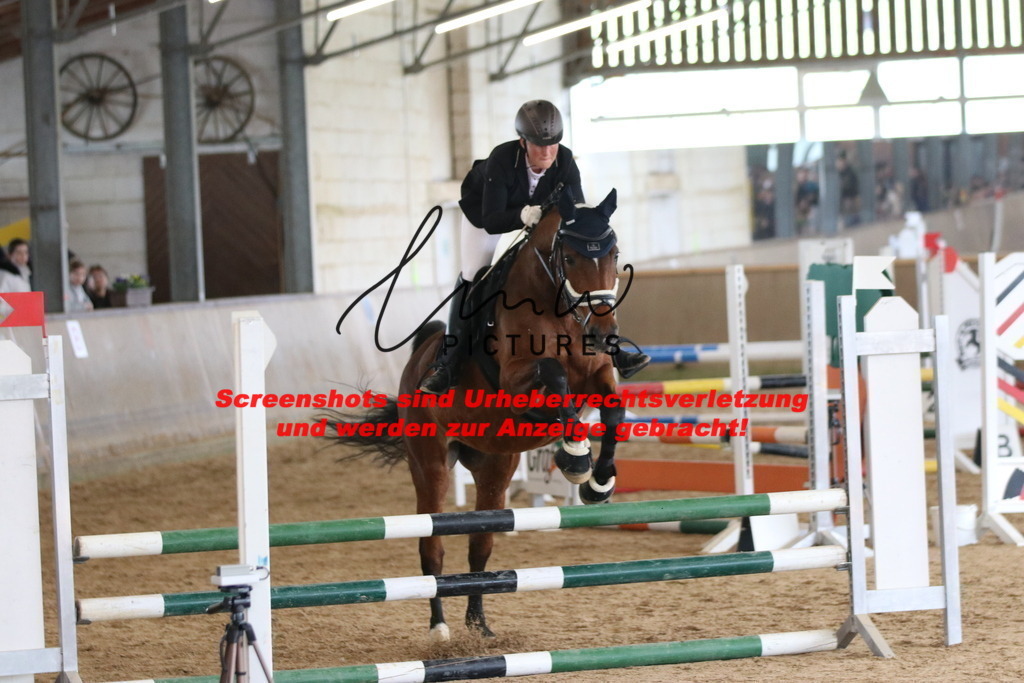 IMG_5310 | lmwpictures - Realisiert mit Pictrs.com