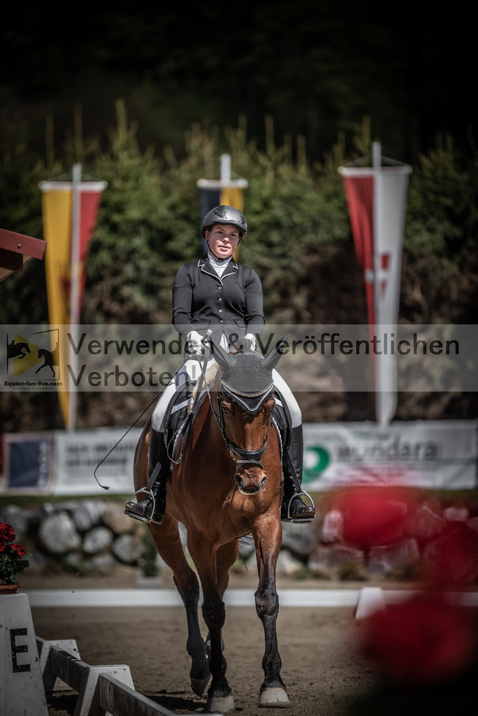 DSC_0533 | equestrian-live-com