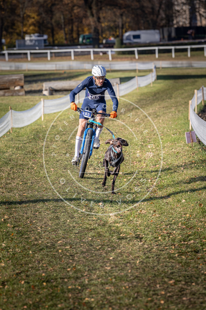 CaniXpix_DV3A2274 | Hundefotografie, Tierfotograf, Pfotenfotografie, Fotoshooting Hund, Hunde Portrait, Hundesport, Hundeportraits, Heideshooting, Hunde, Sportfotograf, Hundefotograf, Turnierhundsport, THS,  - Realisiert mit Pictrs.com