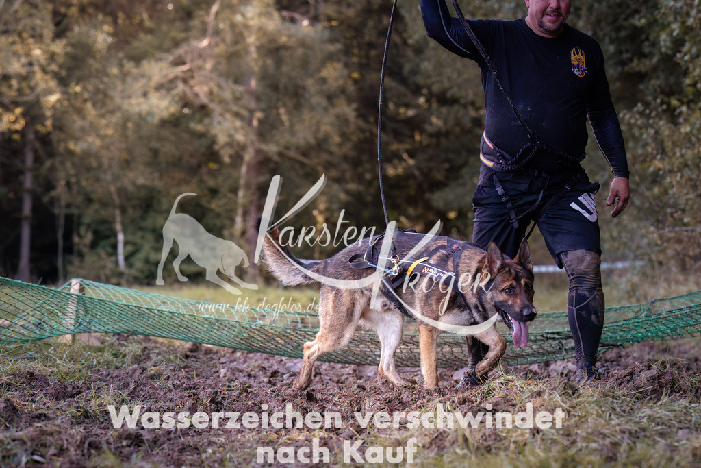 1202_ZZ92340 | kk-dogfotos