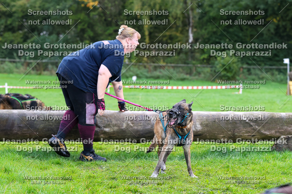 Dog Paparazzi -  SD1026-2072 | Dog Paparazzi Jeanette Grottendiek Fotografie & Videografie - Realisiert mit Pictrs.com