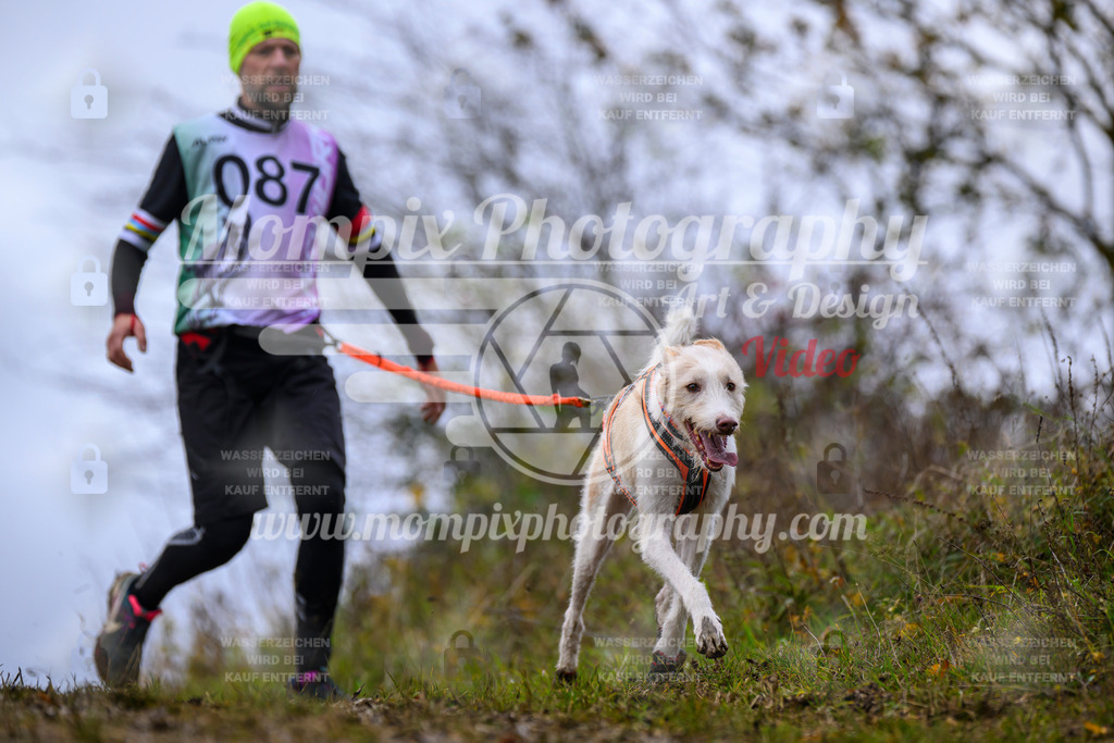 MompixPhotography_2OATB_SO_Run-50 | PayLife