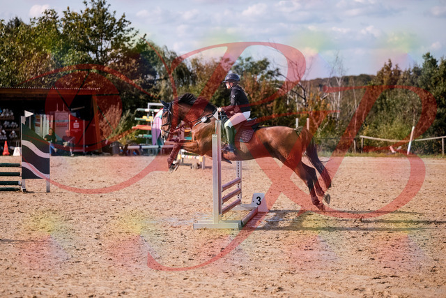 2026_10_03_Siefer-Hof_154640_Z81_65380604 | Professionelle Reitsport-, Turnier- und Eventfotografie von Robert Broda. Galerien mit ausgewählten und bearbeiteten Bildern direkt online ansehen und bestellen.