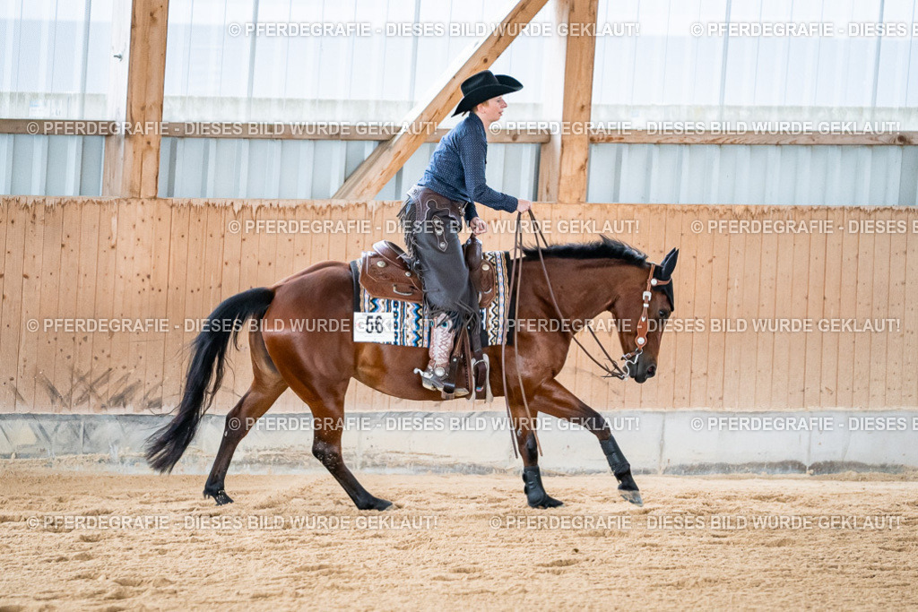 DSC08496 | Pferdegrafie