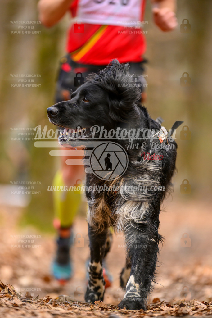 MompixPhotography_Habay2025_SA_CCC-247 | mompixphotography