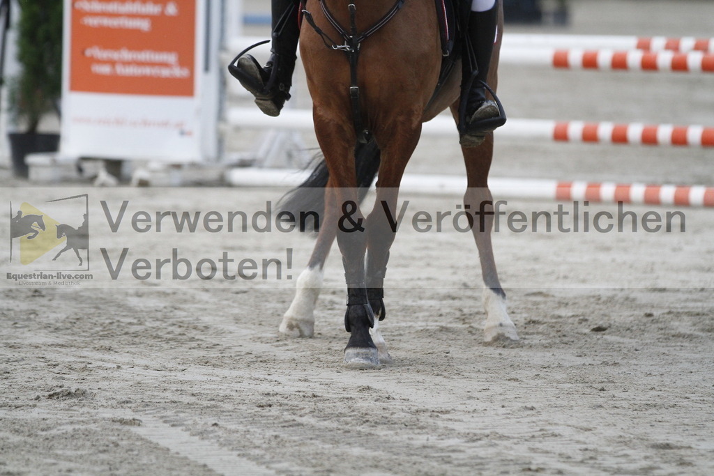 _MG_3522 | equestrian-live-com