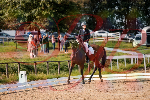 2026_10_03_Siefer-Hof_122707_Z63_48037059 | Professionelle Reitsport-, Turnier- und Eventfotografie von Robert Broda. Galerien mit ausgewählten und bearbeiteten Bildern direkt online ansehen und bestellen.