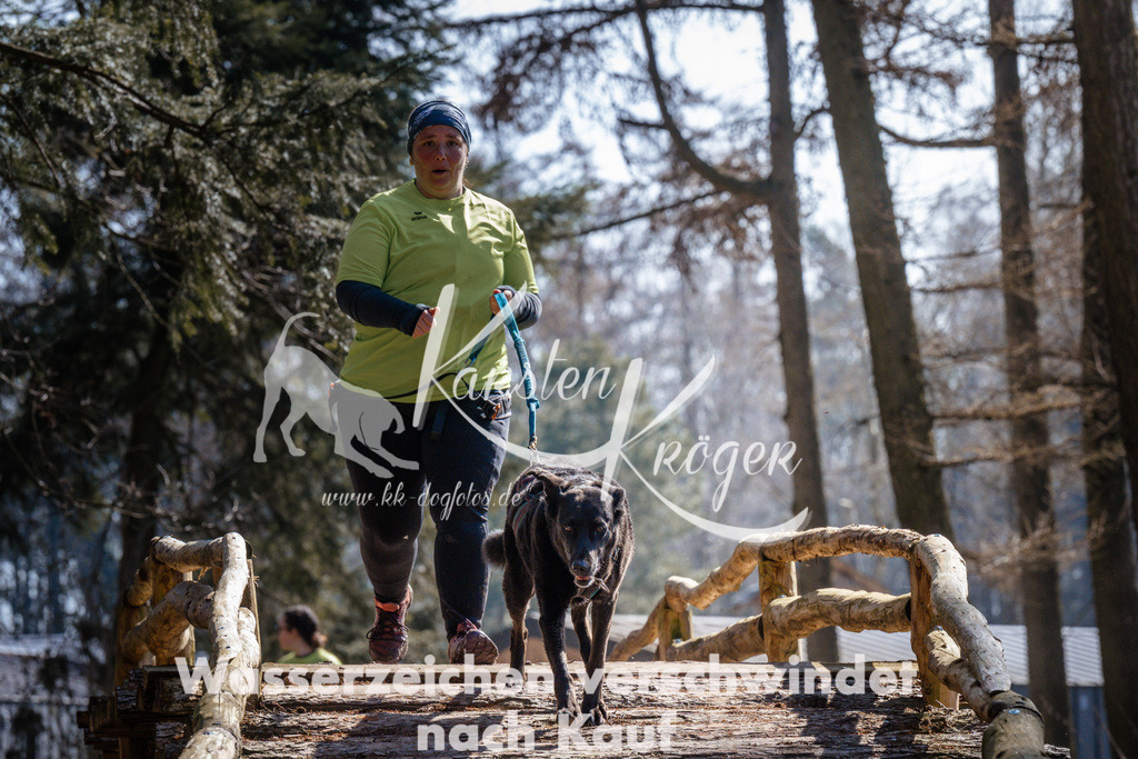 1333_ZZ95533 | kk-dogfotos
