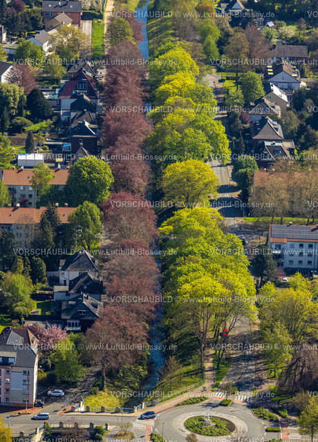 Kamen230406183 | Luftbild, Baumallee mit roten und grünen Blättern, Sesekedamm, Kamen, Ruhrgebiet, Nordrhein-Westfalen, Deutschland