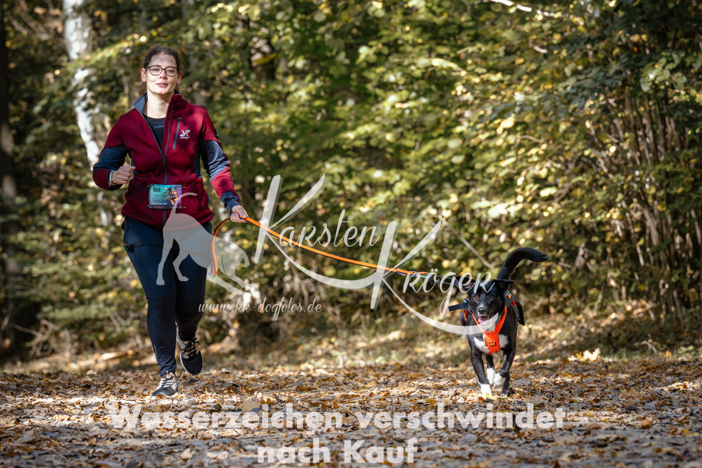1243_ZZ95956 | kk-dogfotos