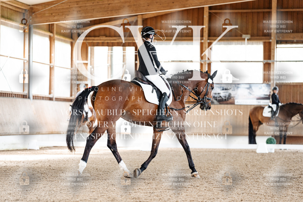 CK909741 | Turnierfotografie Pferdefotografie Trier Rheinland-Pfalz Pferdesport Reitsport Tierfotografie Sportfotografie Pferdevideo Pferdevideografie Equestrianvideography equestrianphotography  - Realized with Pictrs.com
