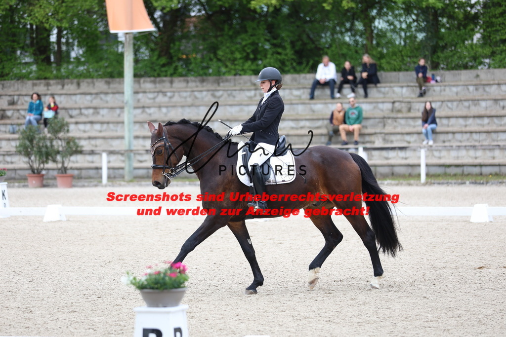 A40A4165 | lmwpictures - Realisiert mit Pictrs.com