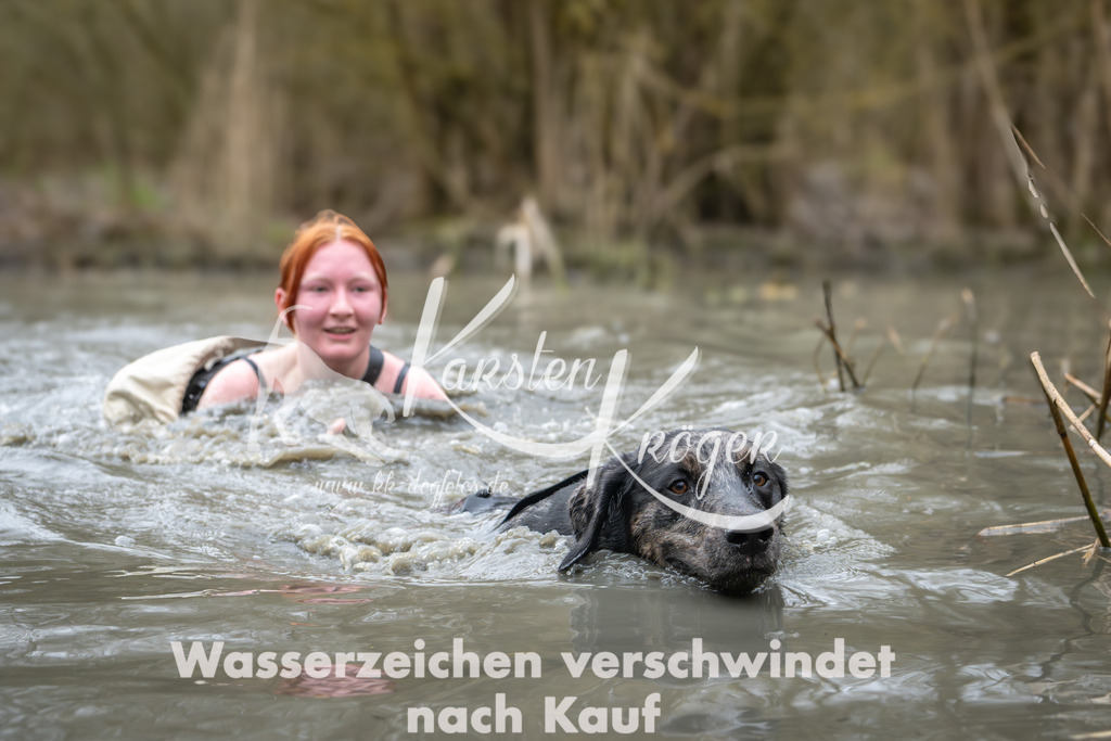 1015_ZZ97802 | kk-dogfotos