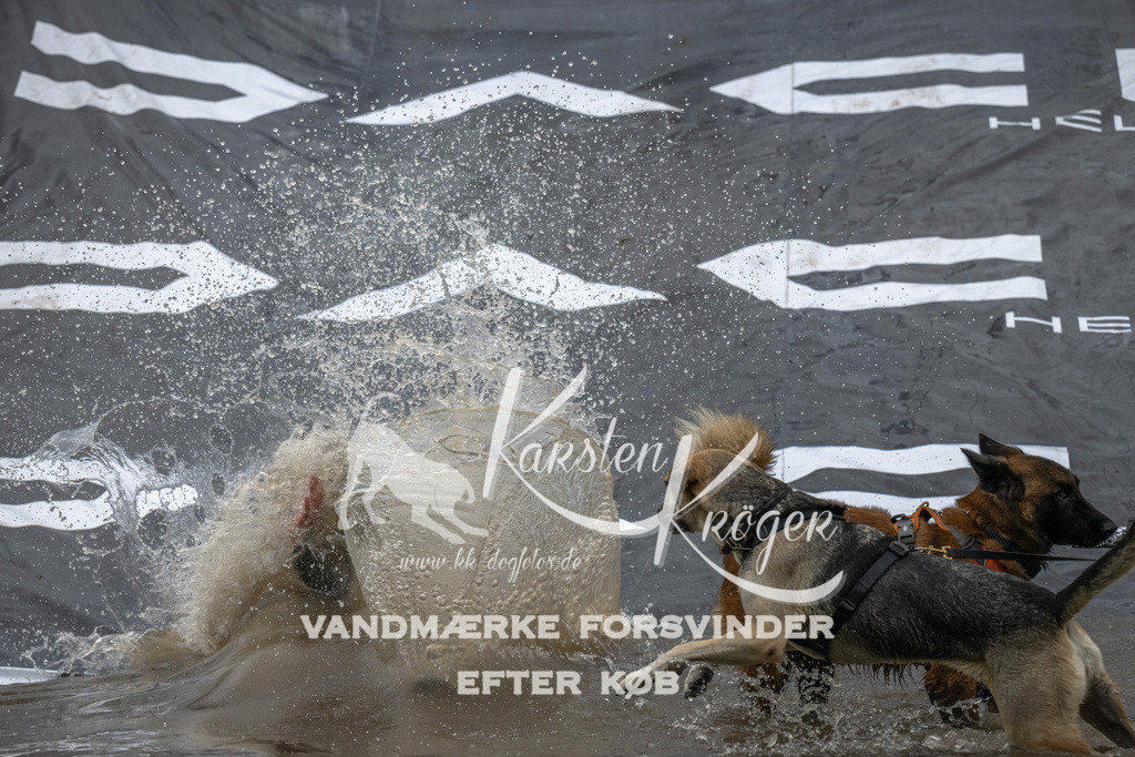 1435_ZZ90971 | kk-dogfotos