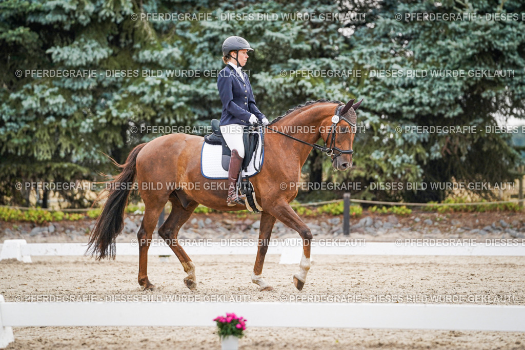 DSC00370 | Pferdegrafie