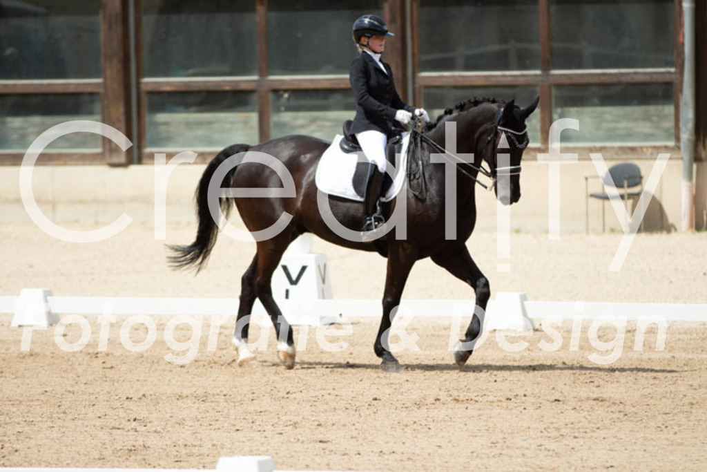 IMG_5877 | Creatify Fotografie