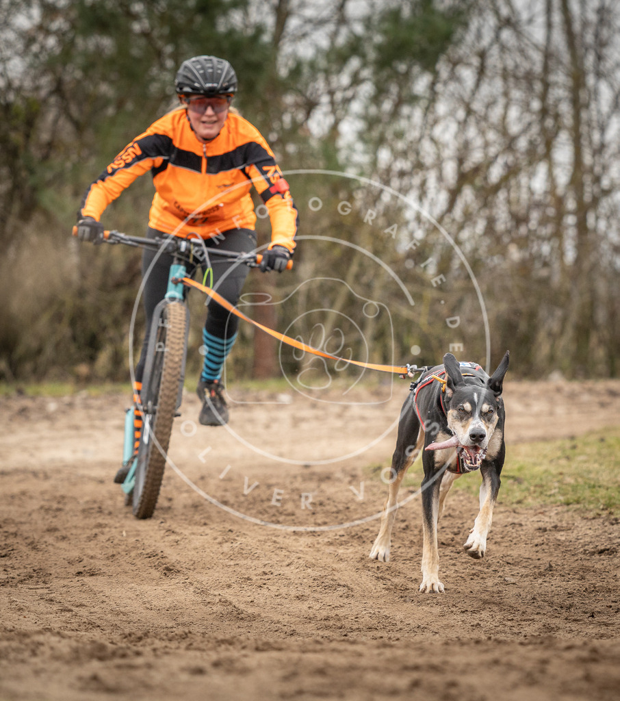 Pfotenfotografie_DV3A9734 | Hundefotografie, Tierfotograf, Pfotenfotografie, Fotoshooting Hund, Hunde Portrait, Hundesport, Hundeportraits, Heideshooting, Hunde, Sportfotograf, Hundefotograf, Turnierhundsport, THS,  - Realisiert mit Pictrs.com