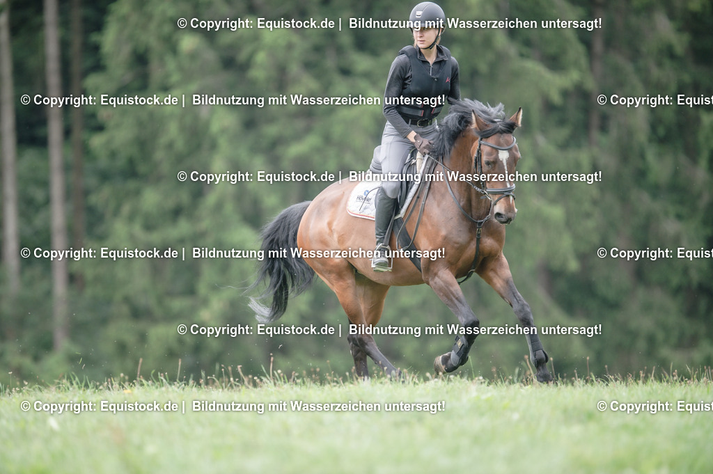 20250726_Vielseitigkeitslehrgang-Marbach_0672 | Foto: Thomas Hartig