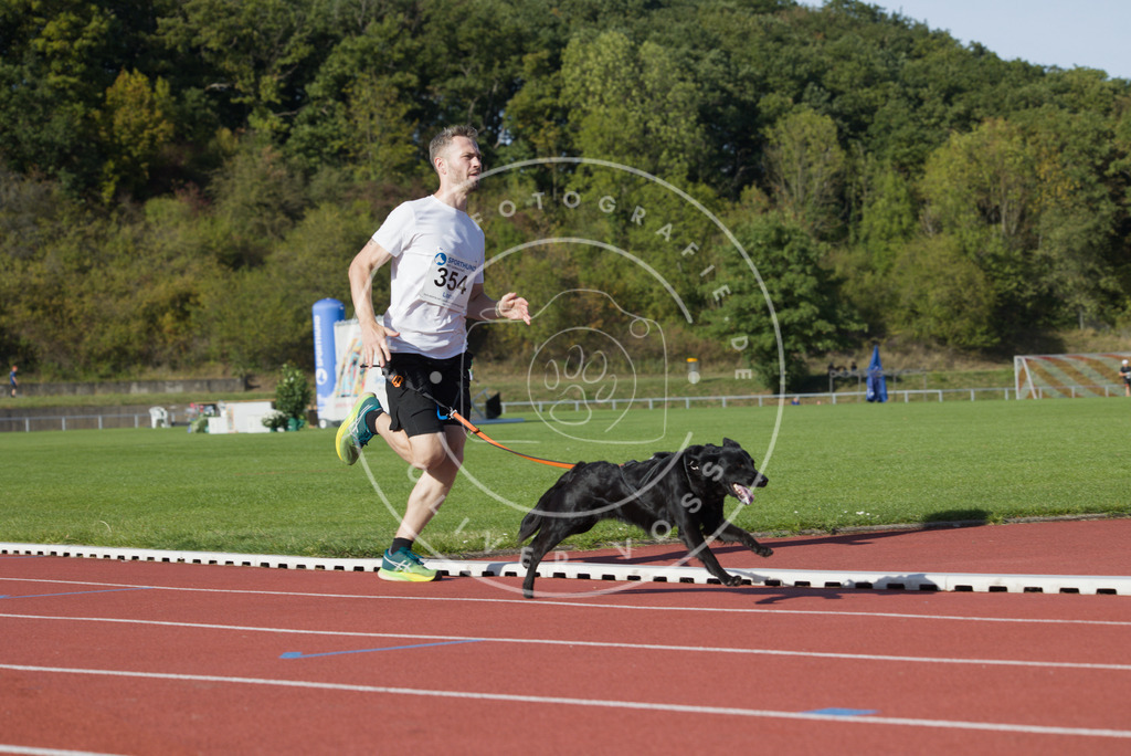 0L8A9978 | Hundefotografie, Tierfotograf, Pfotenfotografie, Fotoshooting Hund, Hunde Portrait, Hundesport, Hundeportraits, Heideshooting, Hunde, Sportfotograf, Hundefotograf, Turnierhundsport, THS,  - Realisiert mit Pictrs.com