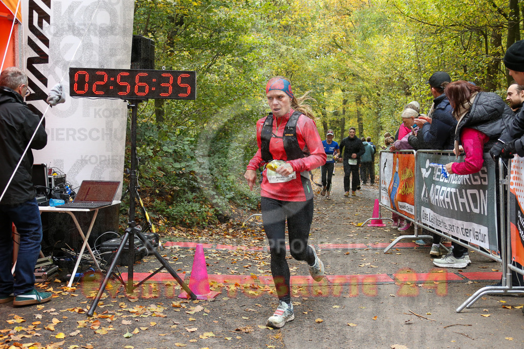 251026_1258_EX1_2061 | Sportfotografie im Rhein-Sieg Kreis, Köln, Bonn, NRW, Rheinland Pfalz, Hessen, etc. Unser Tätigkeitsfeld umfasst den Laufsport vom Volkslauf über den Marathon, Duathlon, Triathon bis zum Ultralauf wie Kölnpfad Ultra oder Schindertrail.