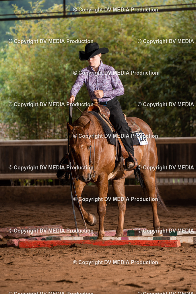 Erbach Tag 3-092 | dv-media-shop - Realisiert mit Pictrs.com