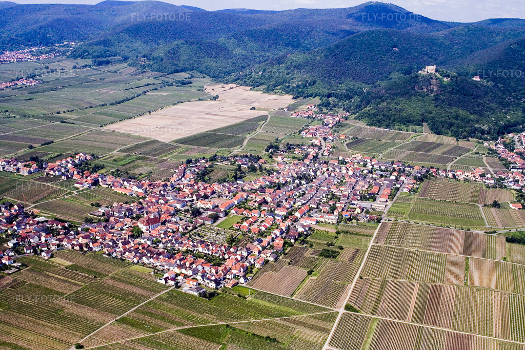 Luftbild: Ortsansicht aus Nordosten im Ortsteil Diedesfeld in Neustadt im Bundesland Rheinland-Pfalz in Deutschland. Foto: IMG_2168.jpg vom 03.06.2006 durch Werner Riehm/FLY-FOTO.de