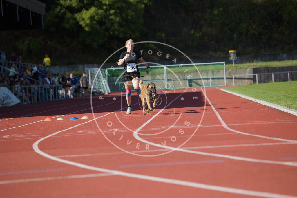 0L8A9290 | Hundefotografie, Tierfotograf, Pfotenfotografie, Fotoshooting Hund, Hunde Portrait, Hundesport, Hundeportraits, Heideshooting, Hunde, Sportfotograf, Hundefotograf, Turnierhundsport, THS,  - Realisiert mit Pictrs.com