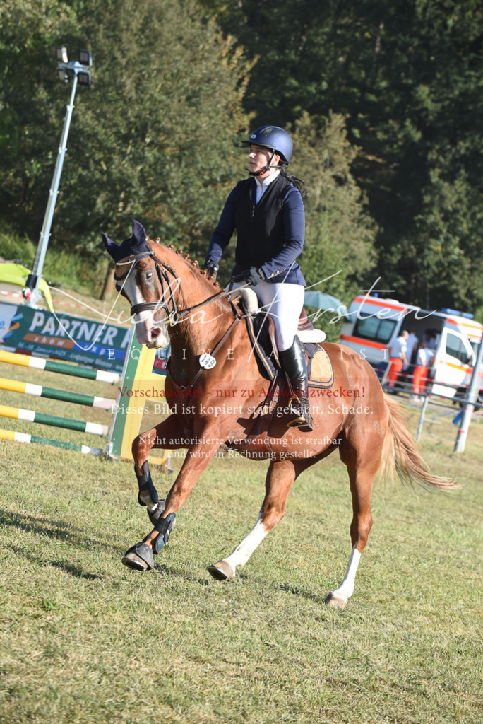 DSC_5167 | Pferde- und Turnierfotografie in Westsachsen. Pferdeportraits, Auftragszeichnungen und intuitive Kunst.