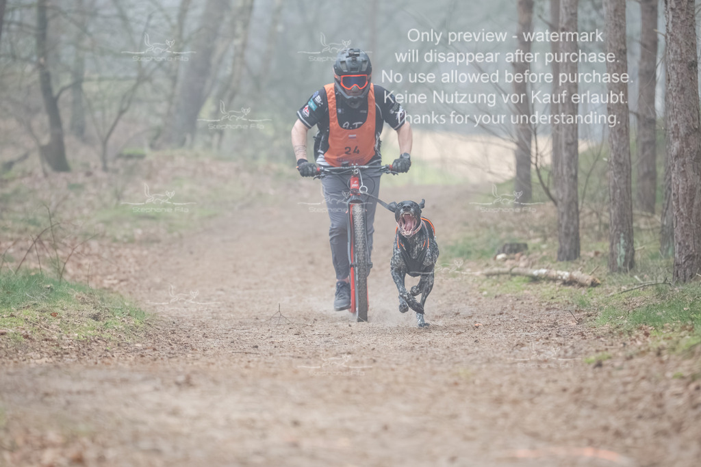 Scooter1-88 | stephaniefillaphotographie - Realisiert mit Pictrs.com