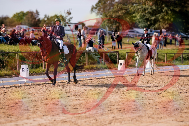 2026_10_03_Siefer-Hof_123006_Z81_28785019 | Professionelle Reitsport-, Turnier- und Eventfotografie von Robert Broda. Galerien mit ausgewählten und bearbeiteten Bildern direkt online ansehen und bestellen.