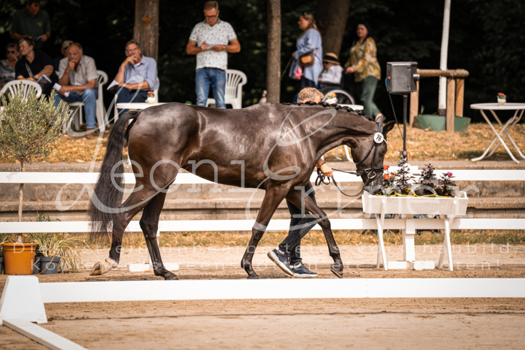 4.Fr00203 | Leoni Ertmer Photography - Realisiert mit Pictrs.com