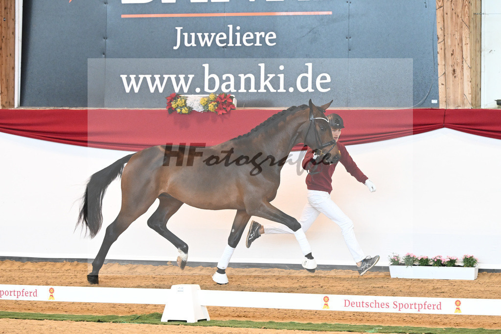 Kat-Nr. 6 Bon Joker x Fuerst Fohlenhof_Koch_43230131 | hf-fotografie - Realisiert mit Pictrs.com