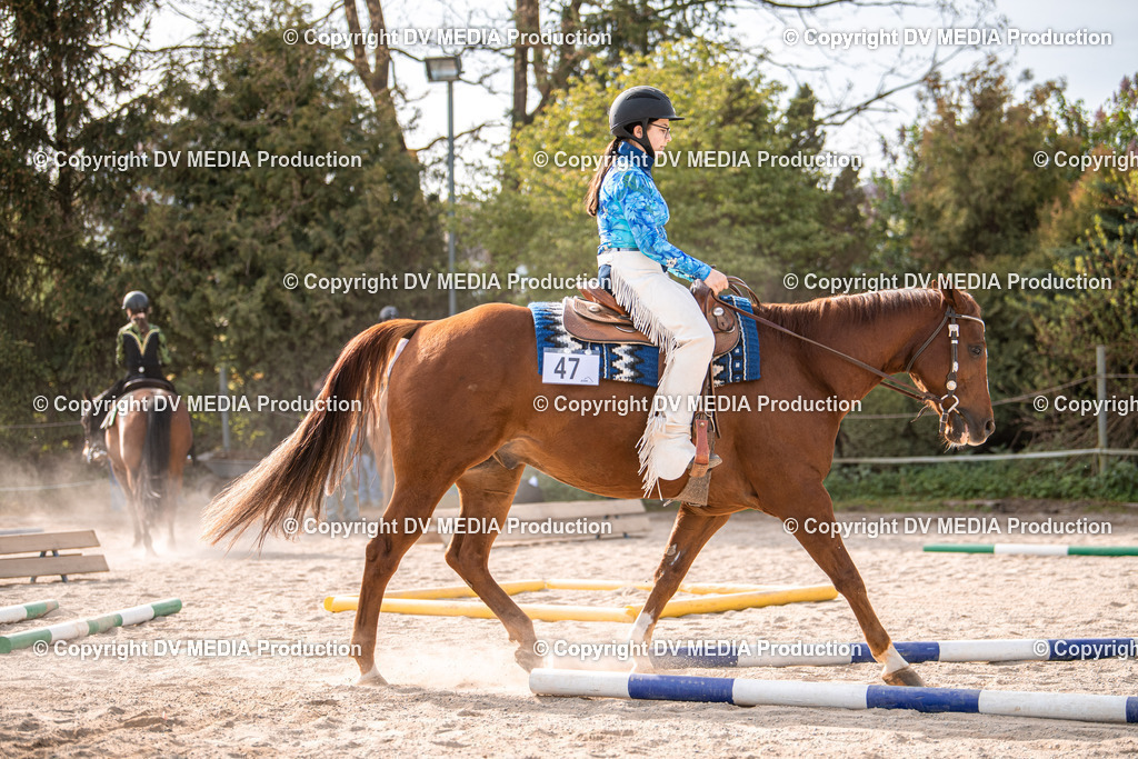 Balingen Tag 5-222 | dv-media-shop - Realisiert mit Pictrs.com