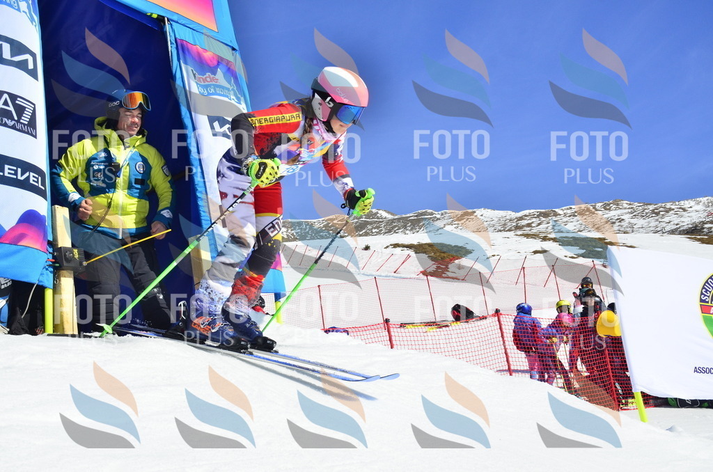 _ELE9863 | holidayphoto