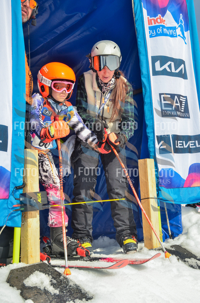 _ELE5310 | holidayphoto