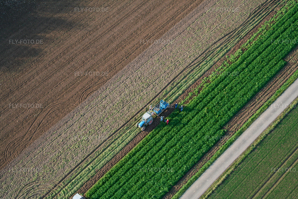 Luftbild: Traktor bei Gemüseernte auf landwirtschaftlichen Feldern in Böbingen im Bundesland Rheinland-Pfalz in Deutschland. Foto: IMG_14567.jpg vom 08.11.2008 durch Werner Riehm/FLY-FOTO.de