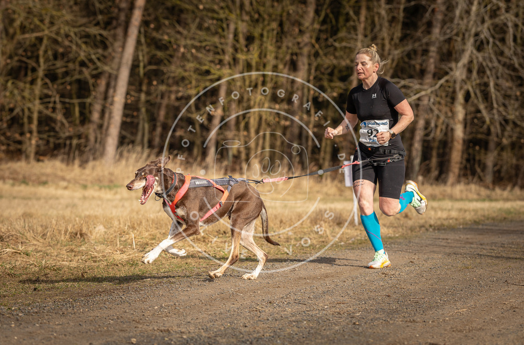 DV3A3747 | Hundefotografie, Tierfotograf, Pfotenfotografie, Fotoshooting Hund, Hunde Portrait, Hundesport, Hundeportraits, Heideshooting, Hunde, Sportfotograf, Hundefotograf, Turnierhundsport, THS,  - Realisiert mit Pictrs.com